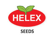 Helex Seeds